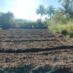 Kalvarayan Community Development